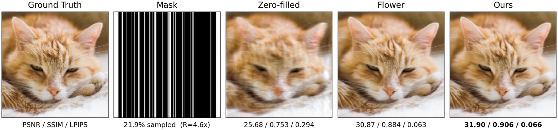 Compressed-sensing Fourier reconstruction on AFHQ-Cat
